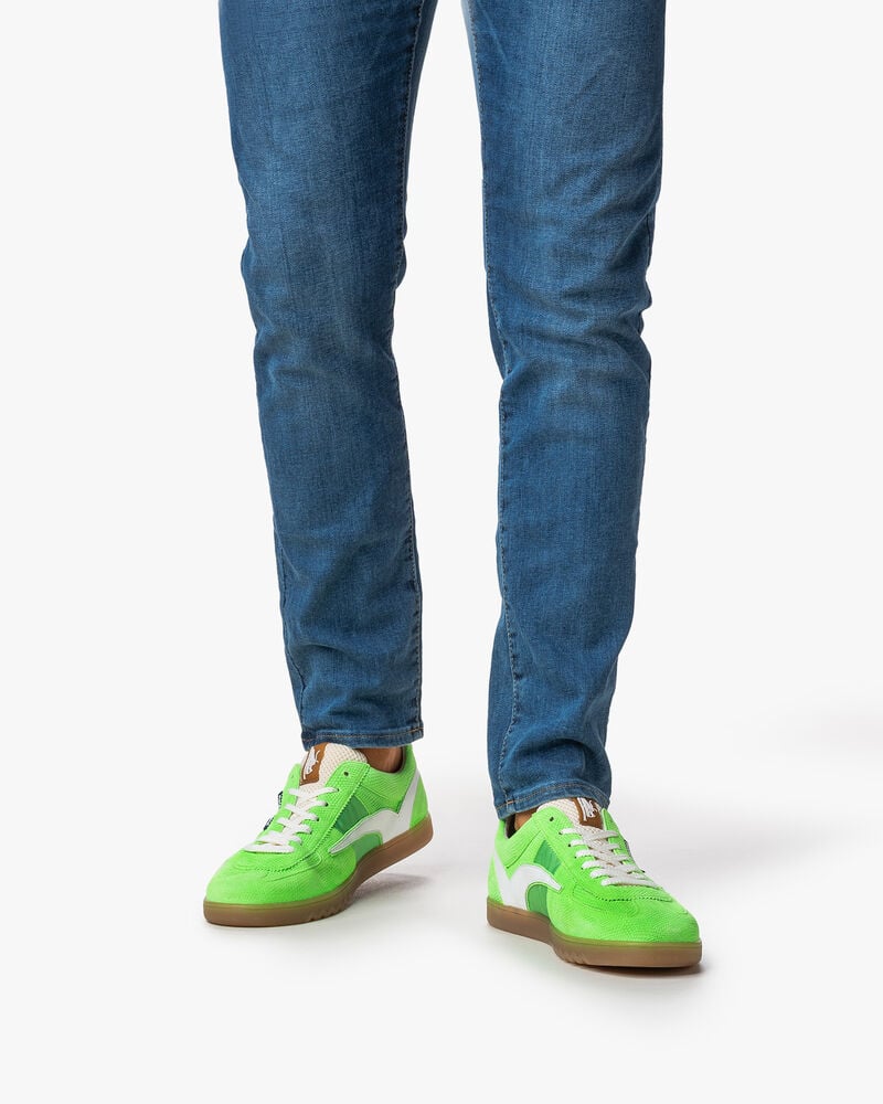 De Zaler 01.06