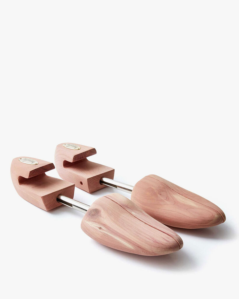 Van Bommel schoenspanner