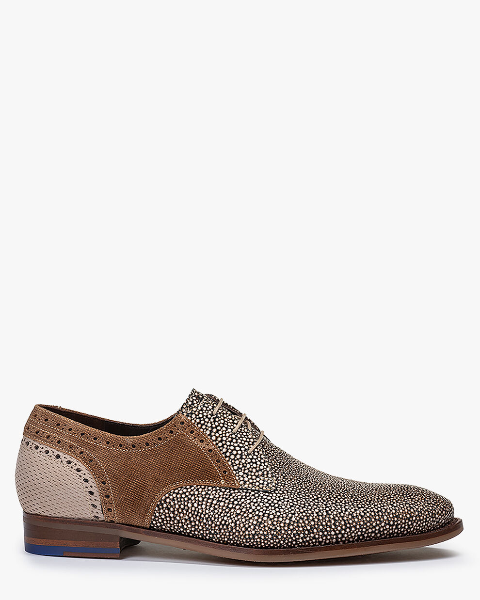 Floris van bommel shop store