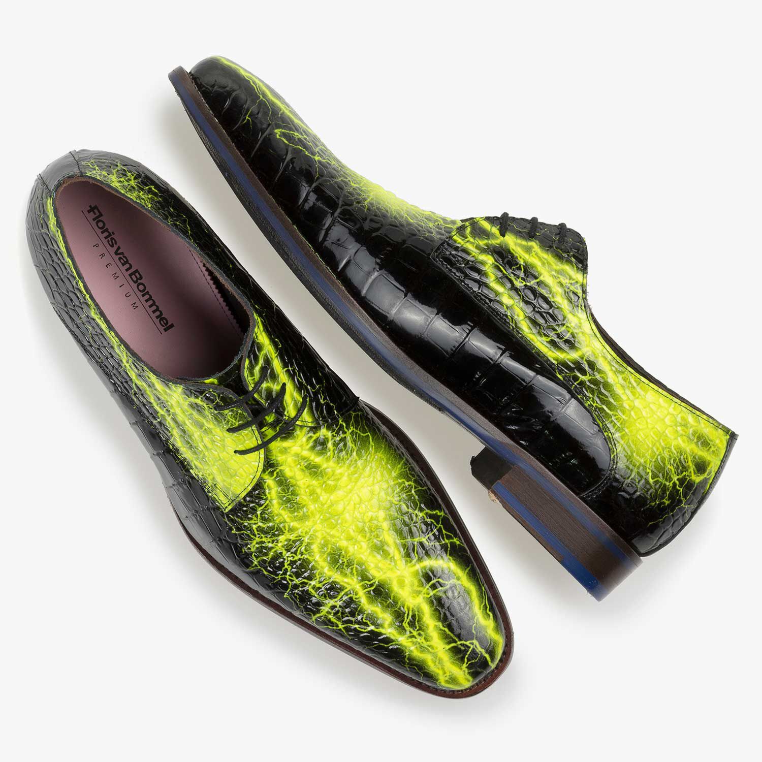 Floris van bommel premium online