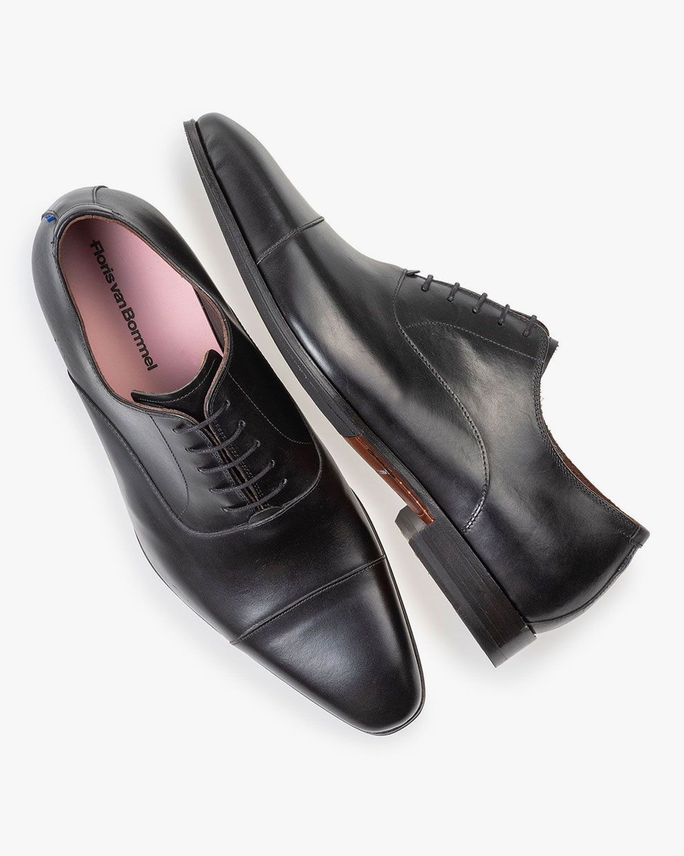Van bommel oxford outlet