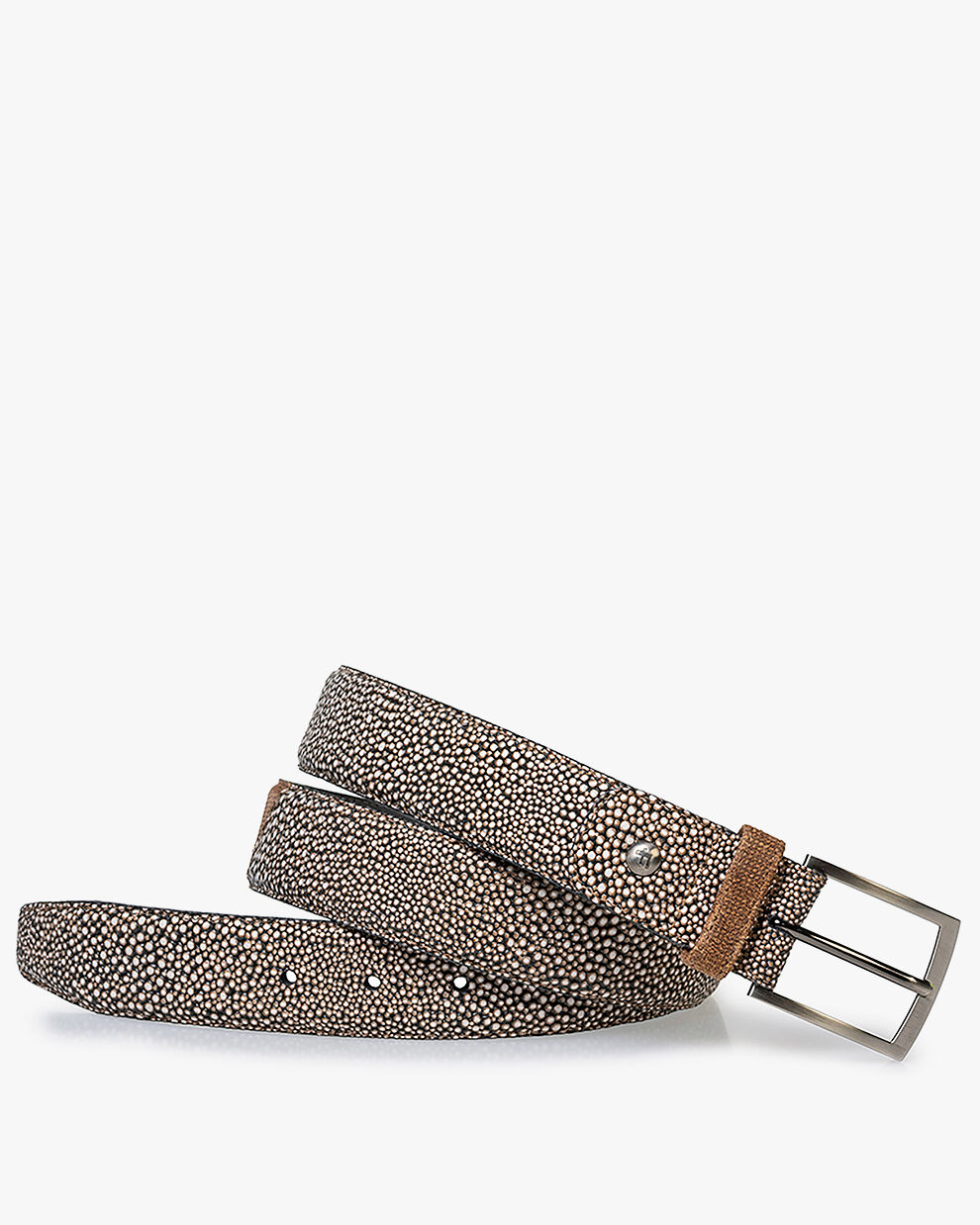 Van bommel riemen outlet online