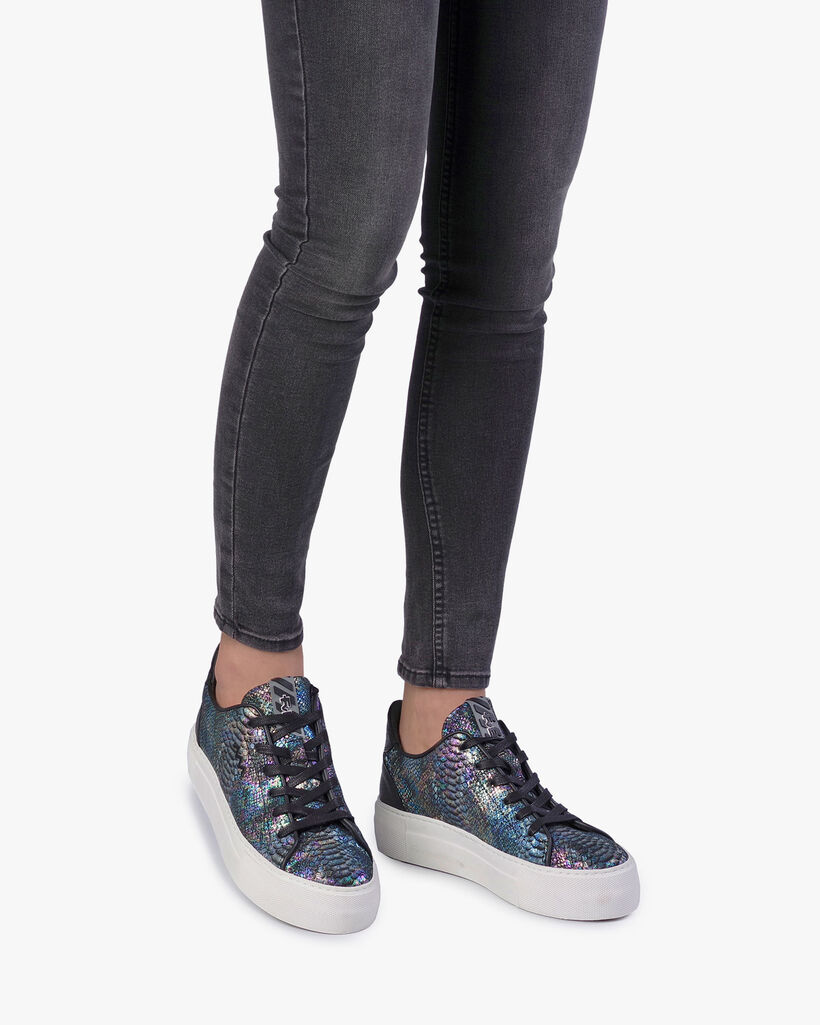 Sneaker snakeprint multi-colour