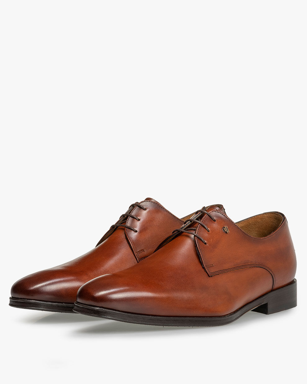 Ted baker tan tifir shoes sales