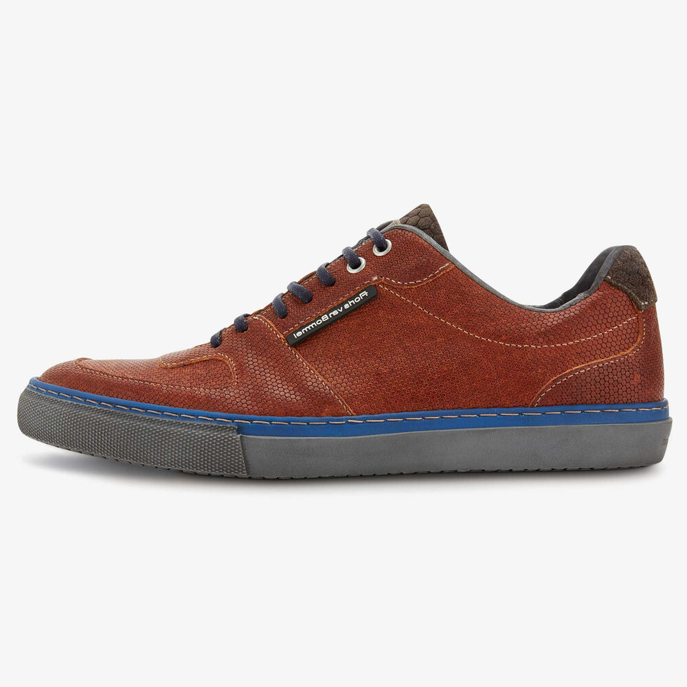 Floris van Bommel cognac leren heren sneaker 