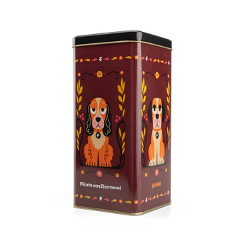 Bravoer Tin X FvB