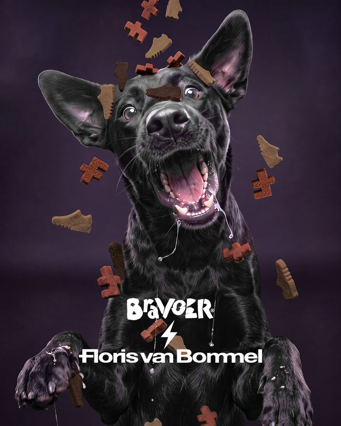 Bravoer Tin X FvB